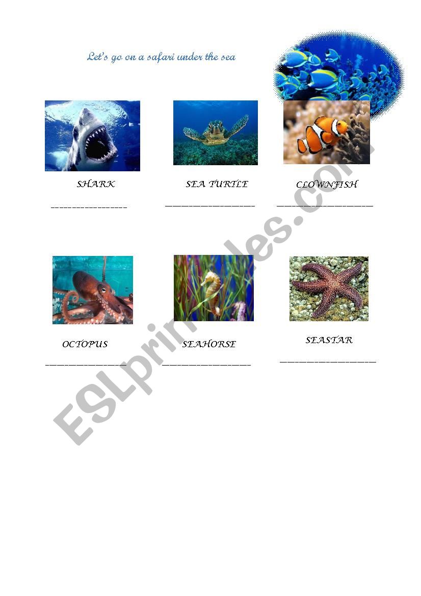 Safari under the sea worksheet