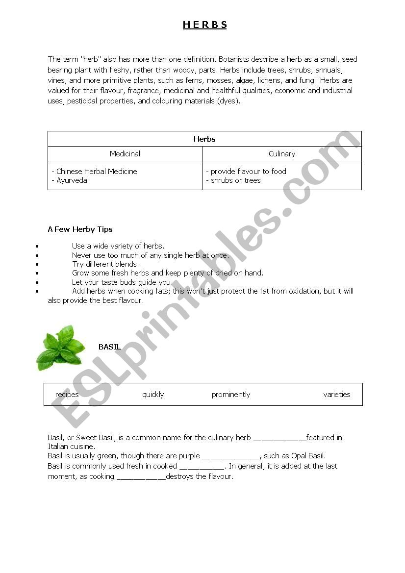 Herbs worksheet