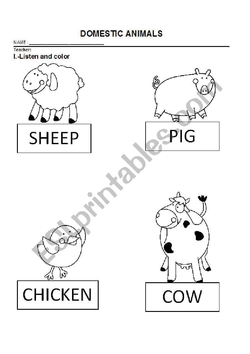 animals and clothes worksheet