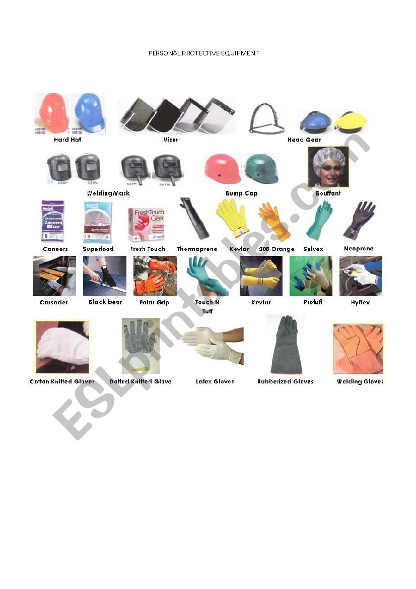 PPE worksheet