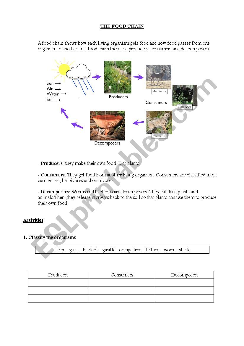  THE FOOD CHAIN worksheet