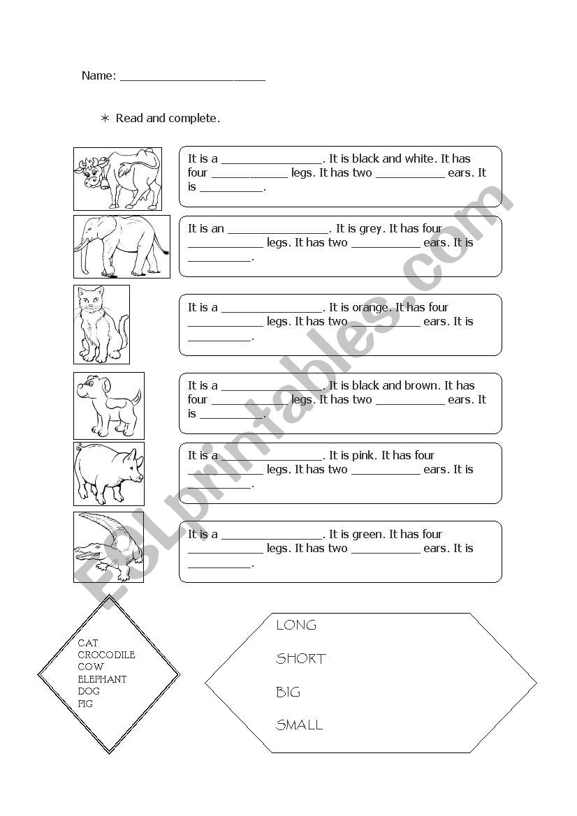 Animals description worksheet