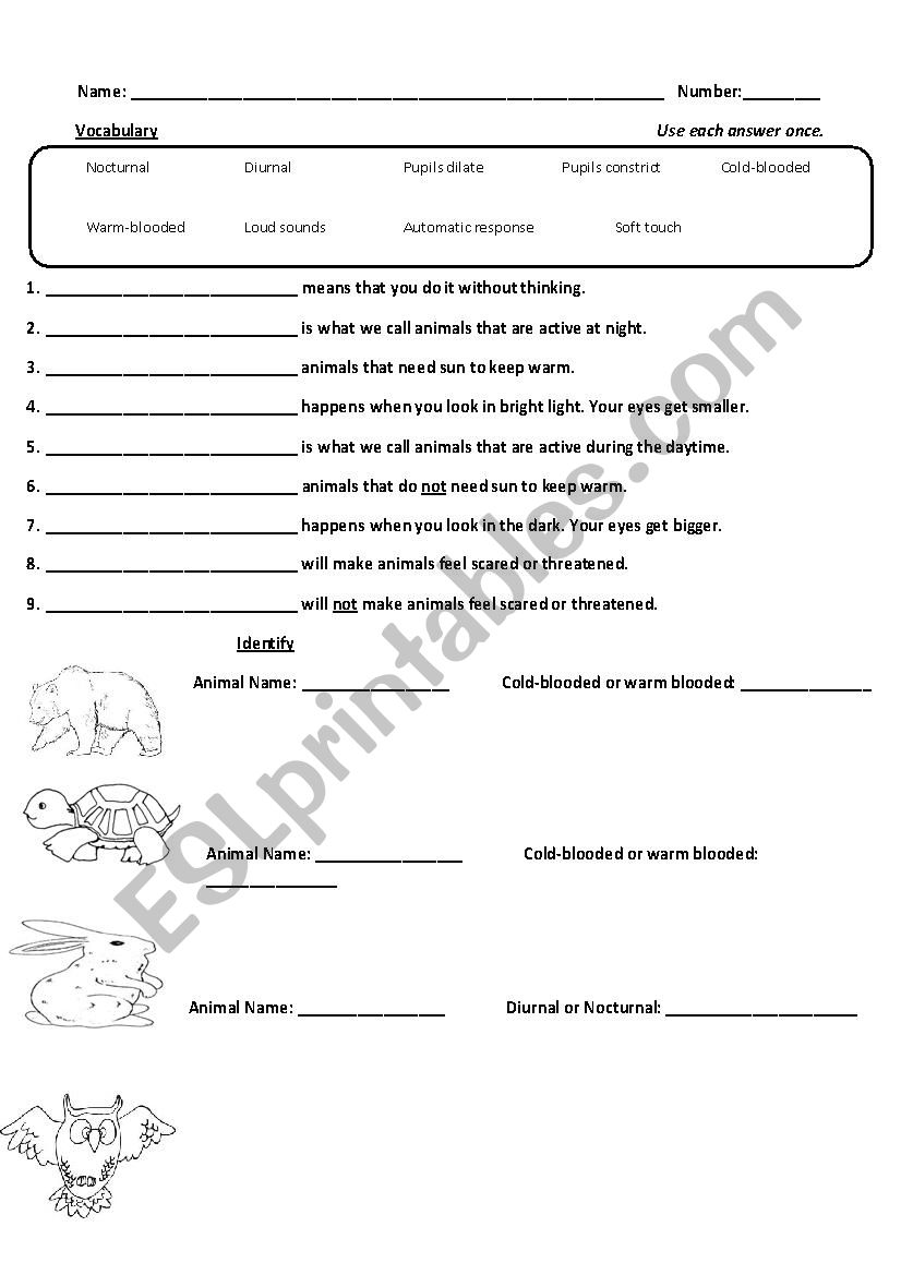 Animal Stimuli - Cold-blooded/Warm-blooded Diurnal/Nocturnal