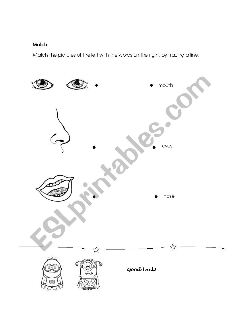 Parts of the Face Matching worksheet