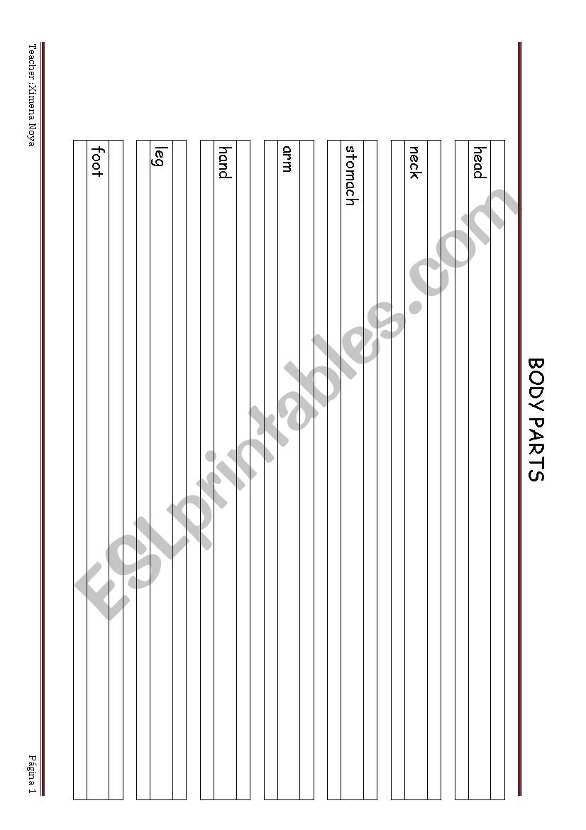 Parts of the body worksheet