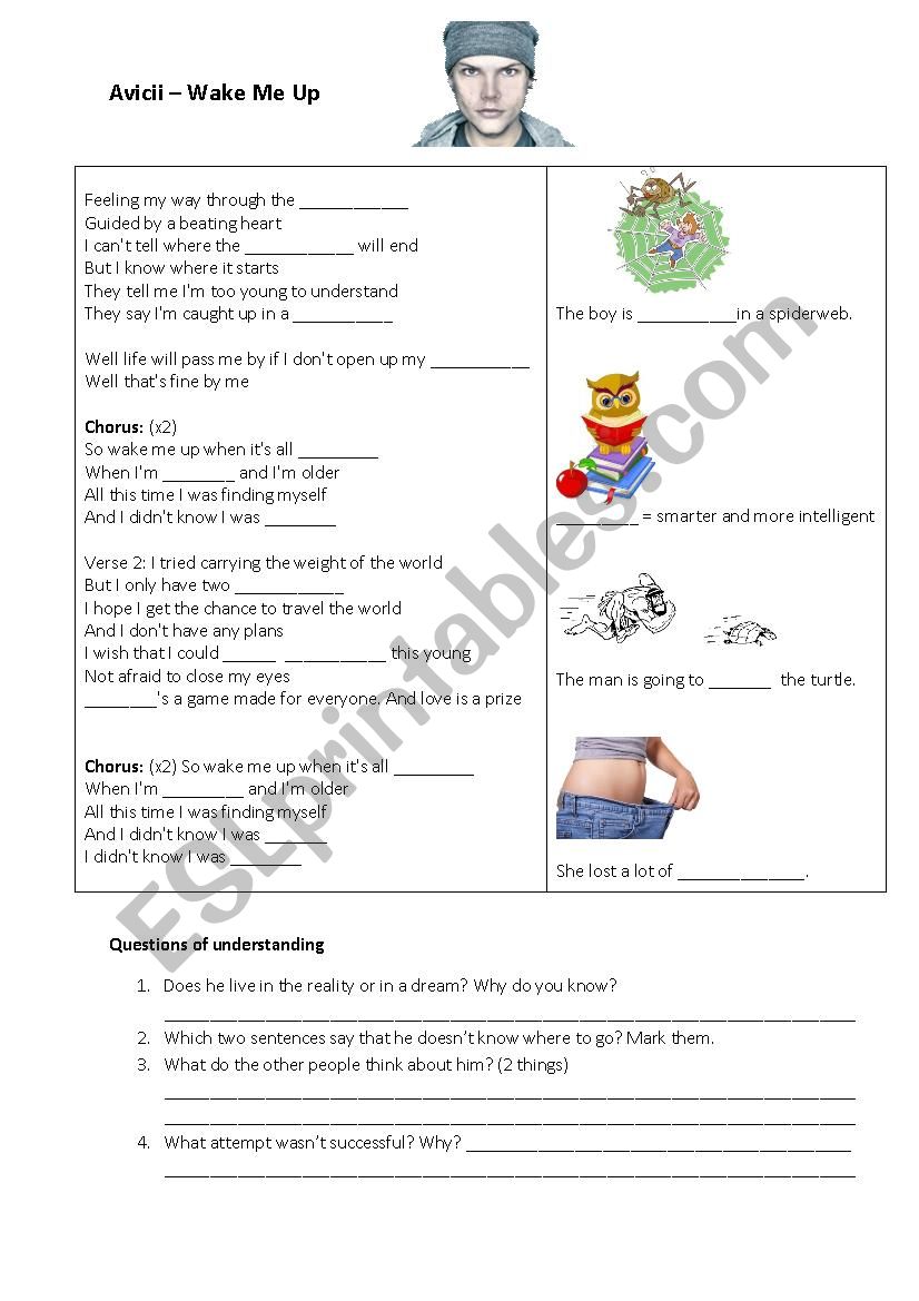 Avicii Wake Me Up Song  worksheet