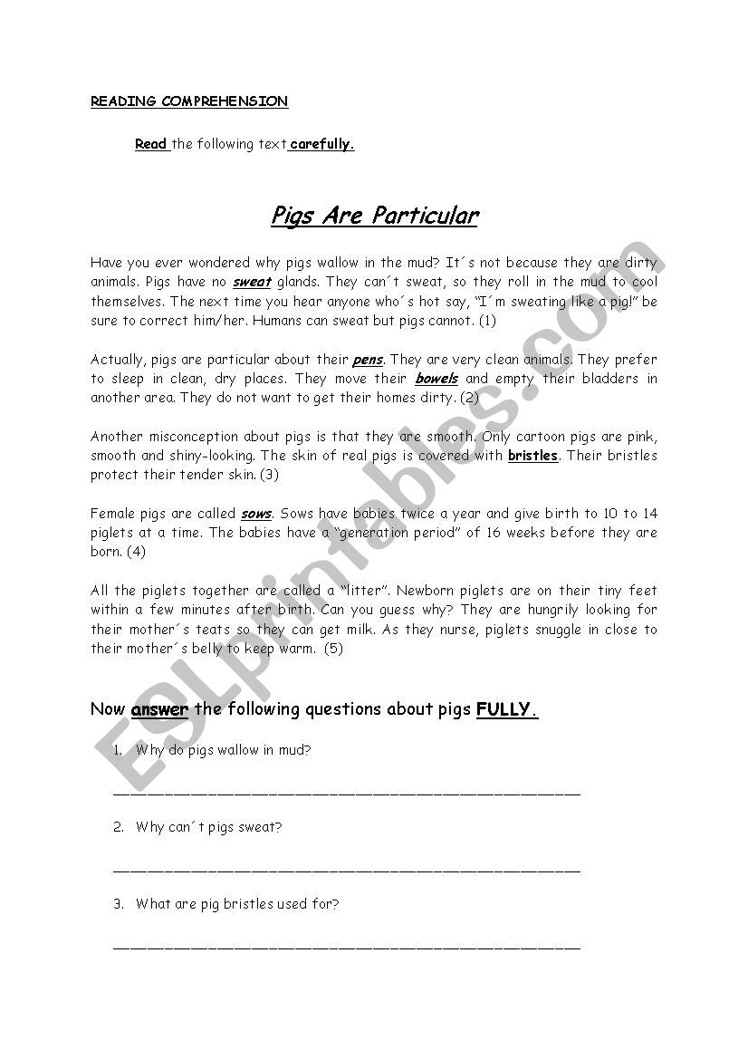 reading Comprehesion worksheet