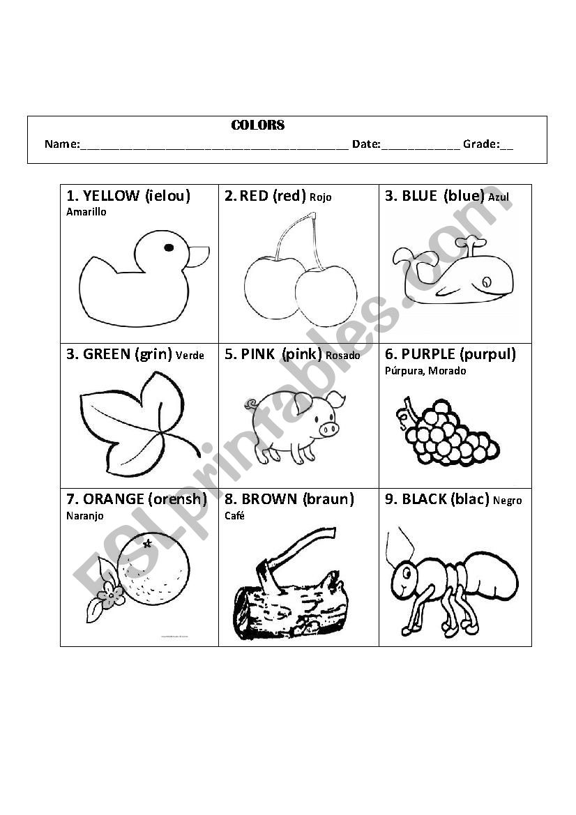 Colors worksheet