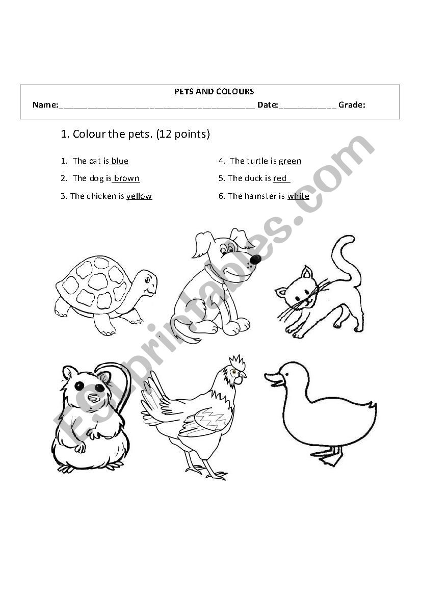 Workshop or test worksheet