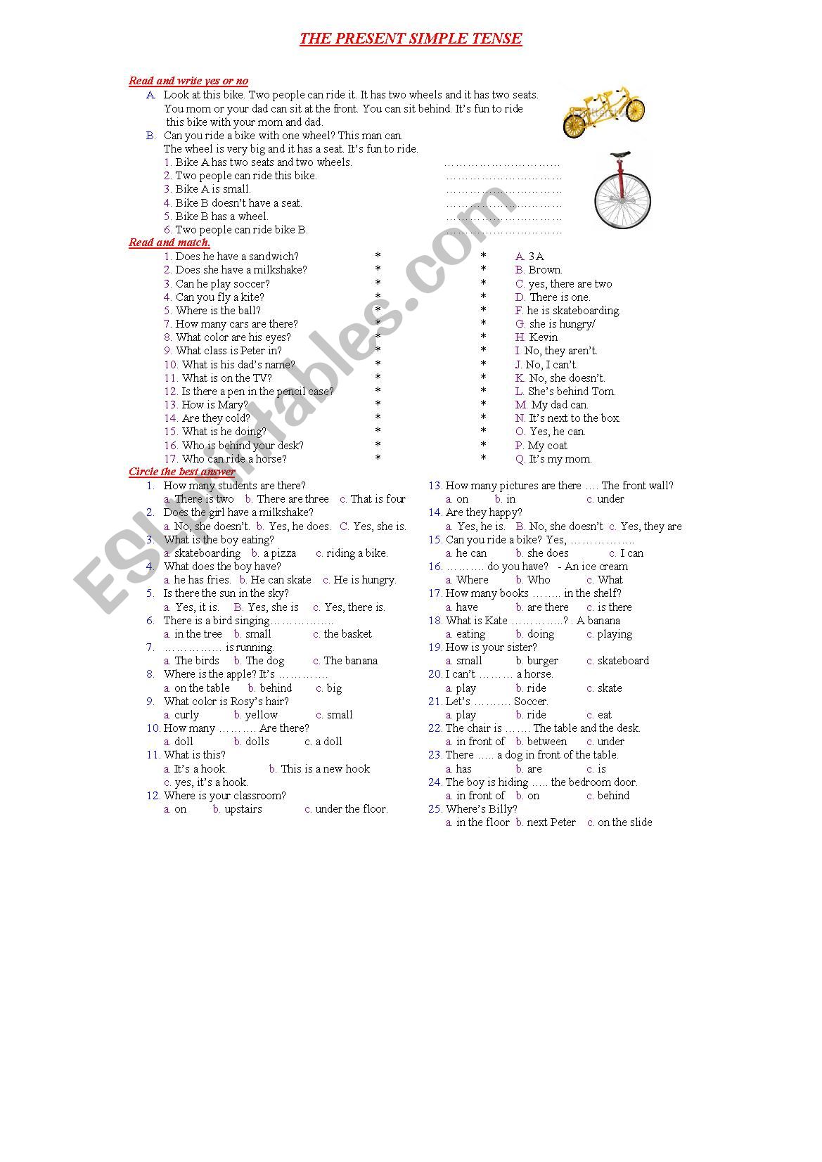 The present simple tense worksheet