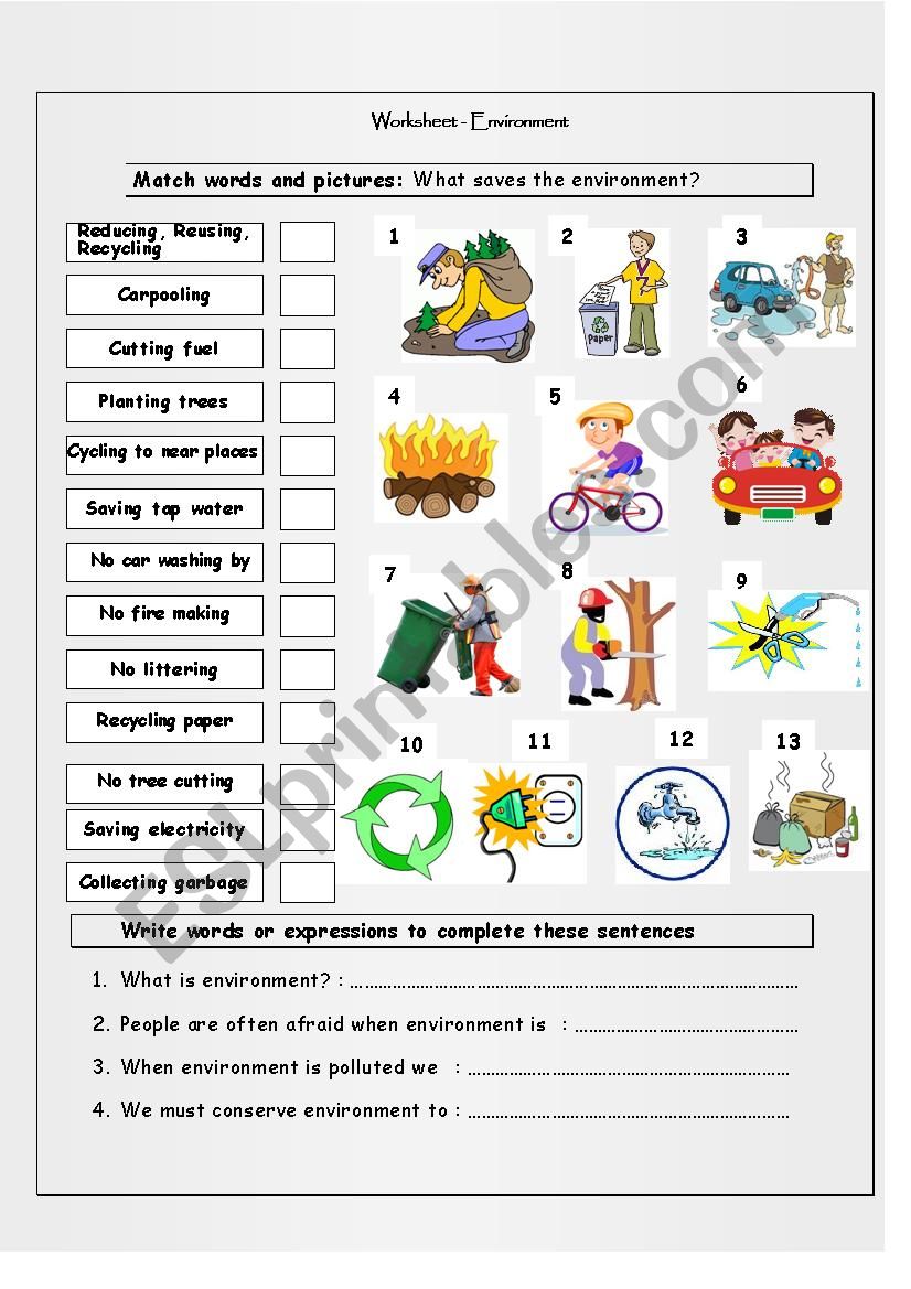 environment conservation worksheet