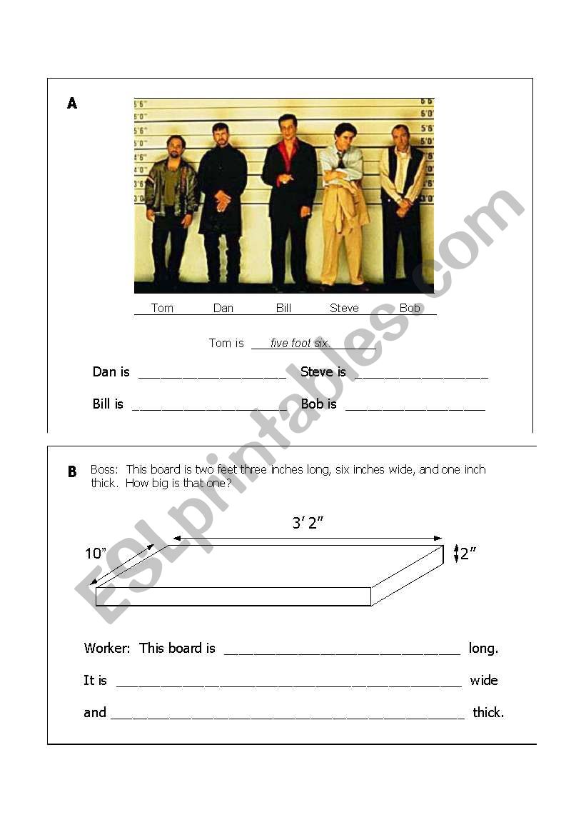 Measurement worksheet worksheet