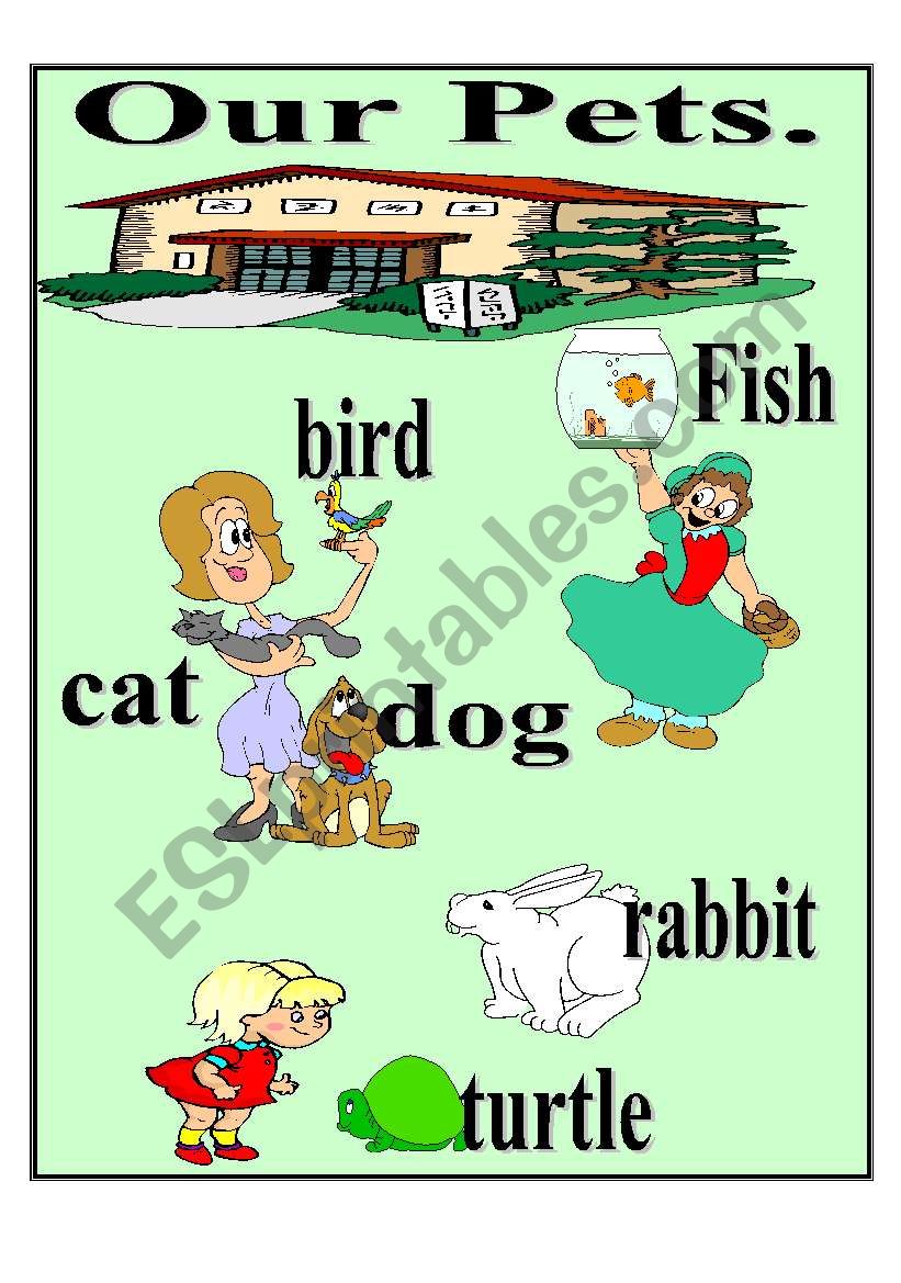 Our pets worksheet