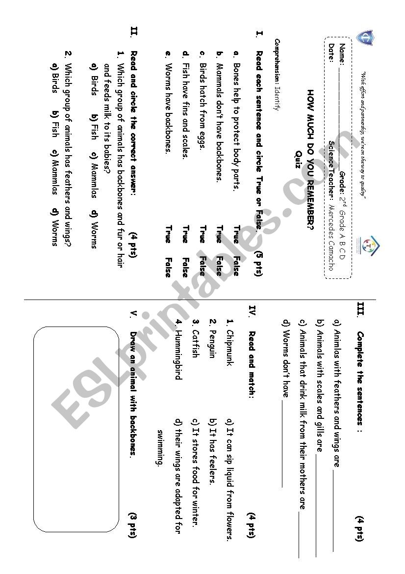 backbones worksheet