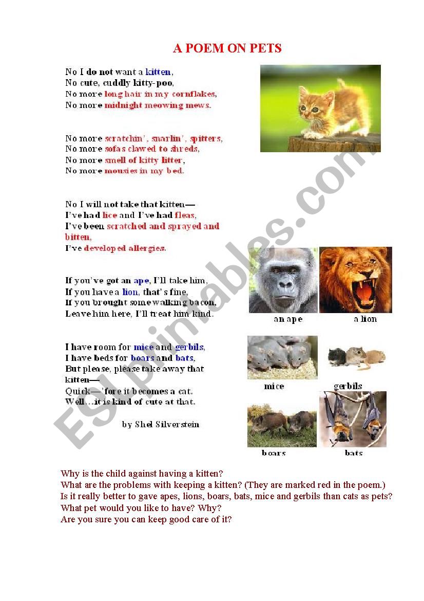 PETS (a poem + a pictionary) worksheet