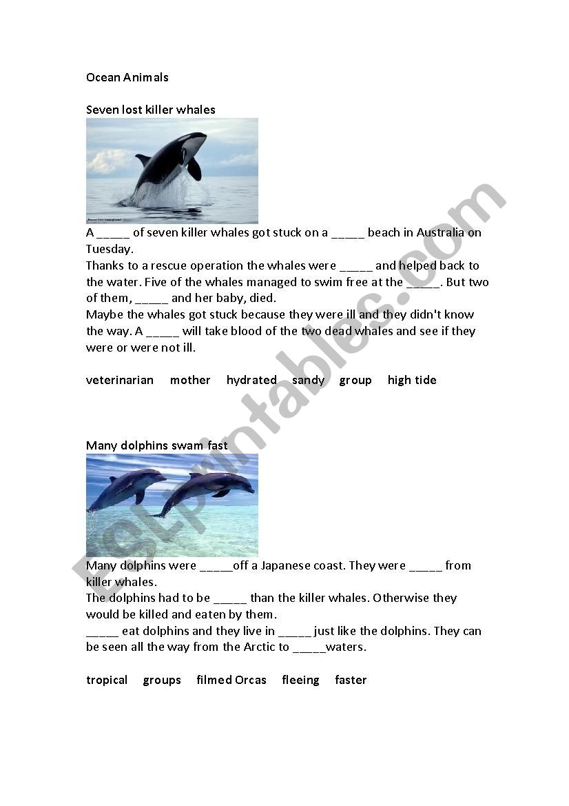 Ocean Animals worksheet