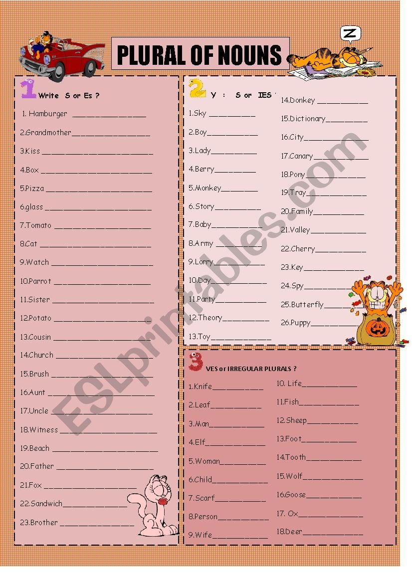 plural forms -2 pages worksheet