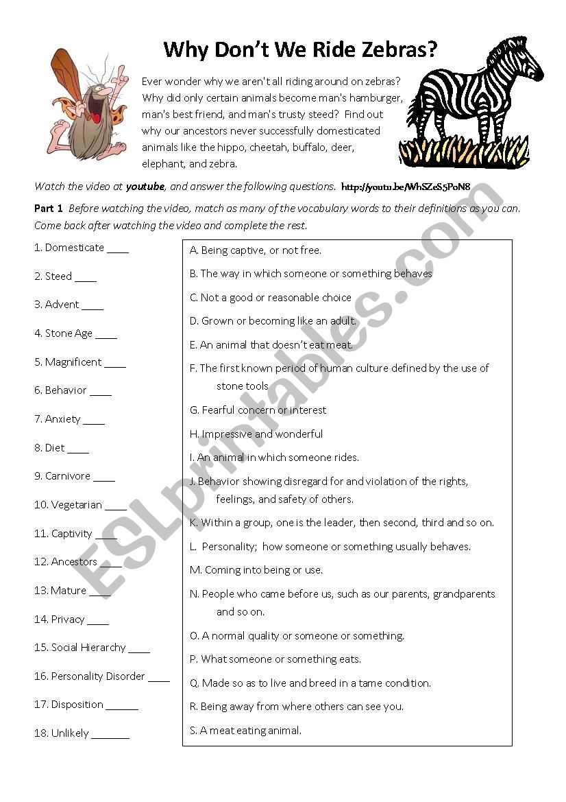 Why Dont We Ride Zebras? worksheet