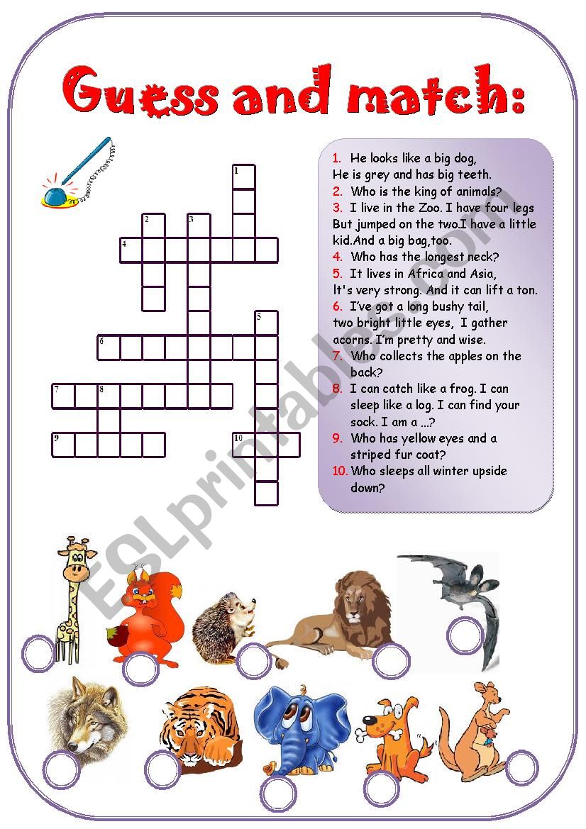 Animals worksheet