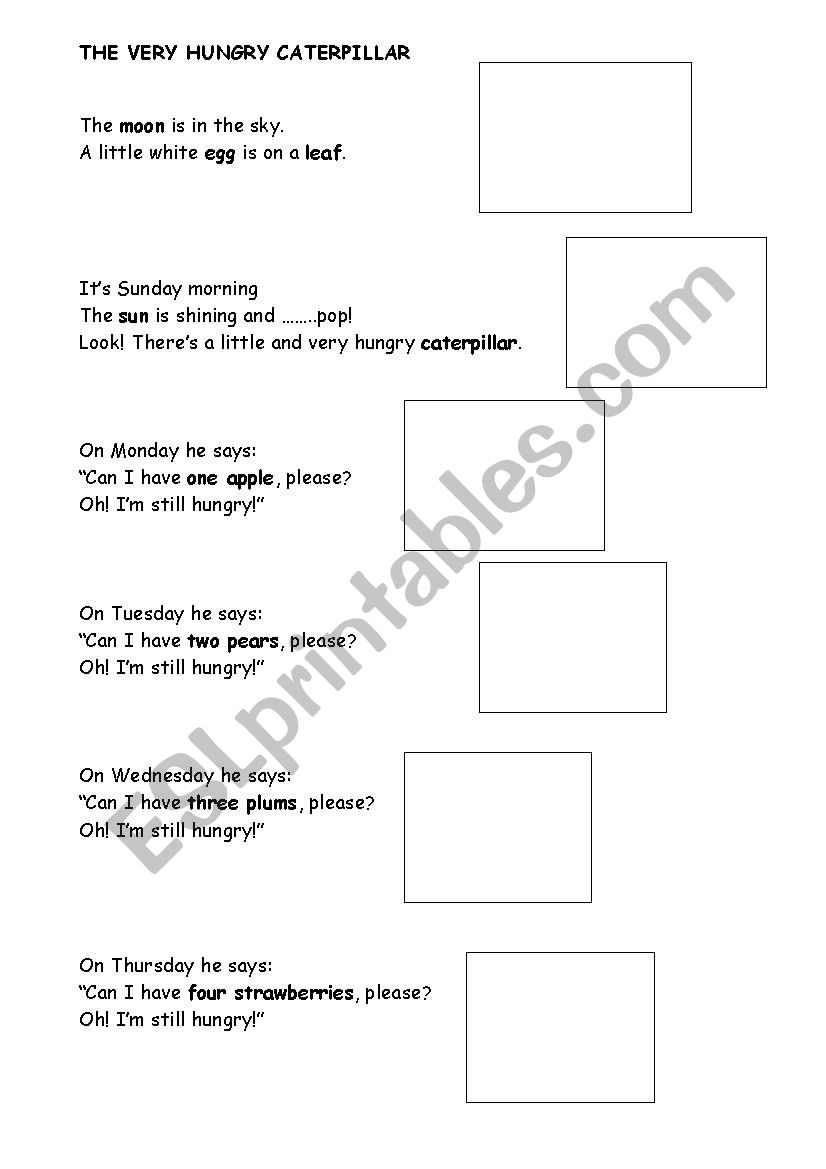 THe very hungry caterpillar worksheet