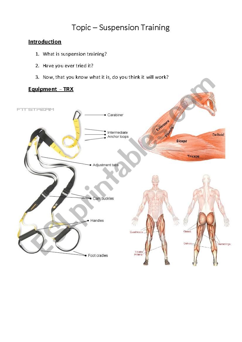 Suspension Training  worksheet