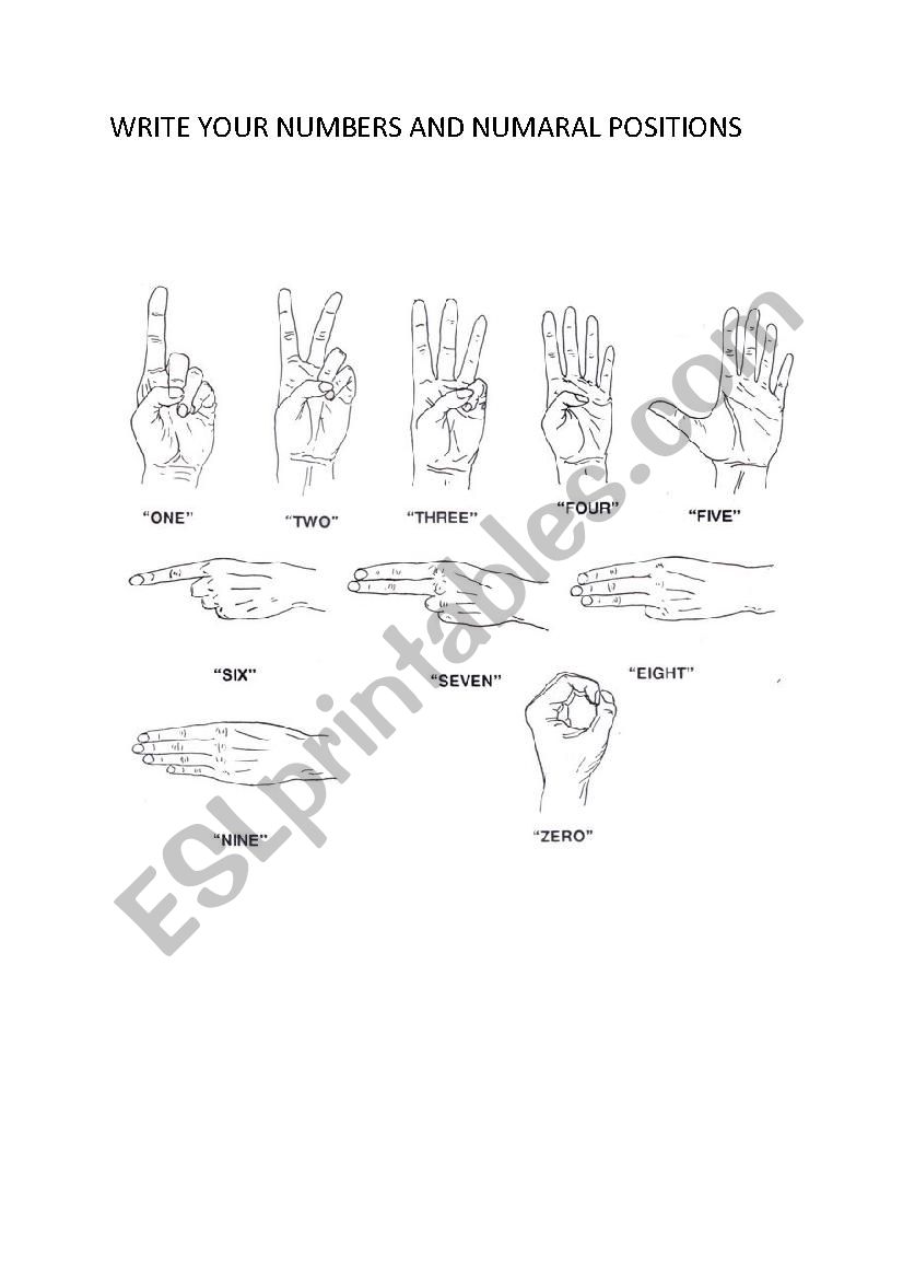 Writing numbers and positions worksheet