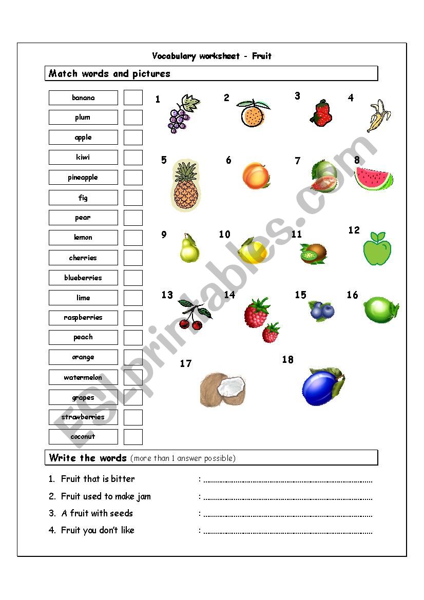 Fruit vocabulary worksheet worksheet