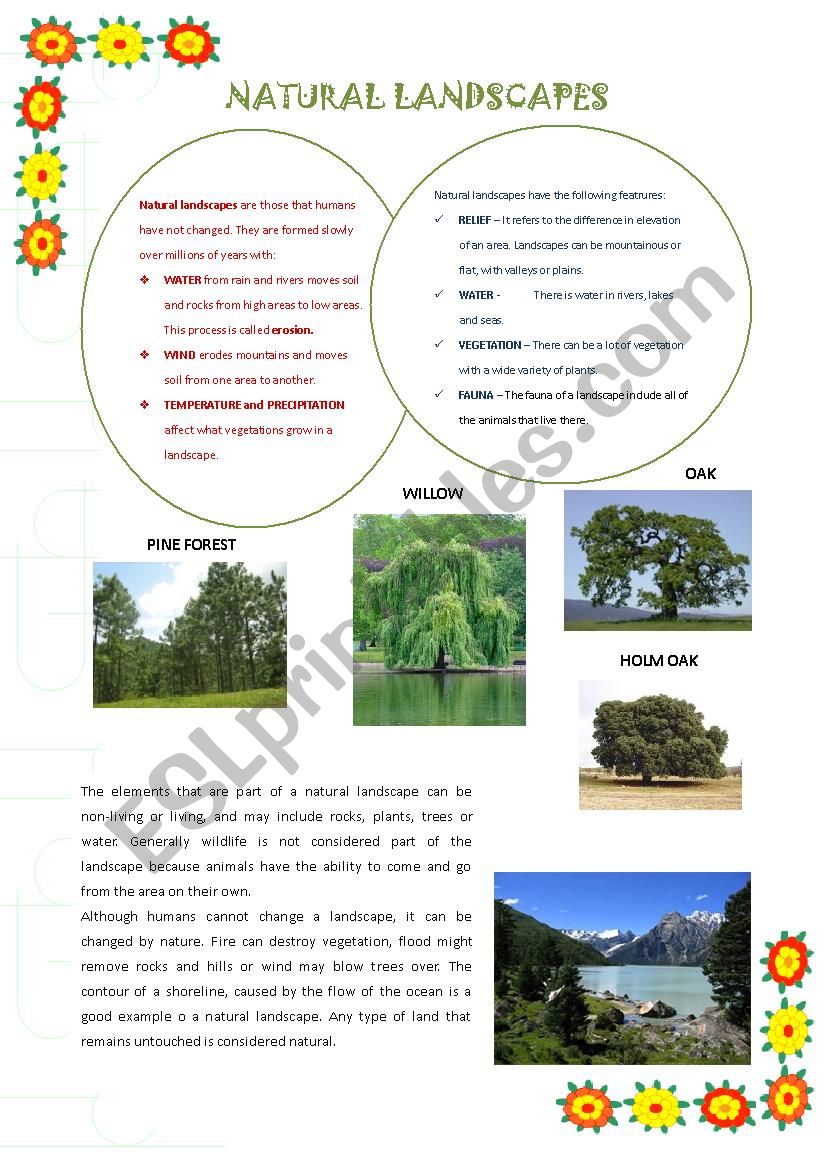 NATURAL LANDSCAPE worksheet