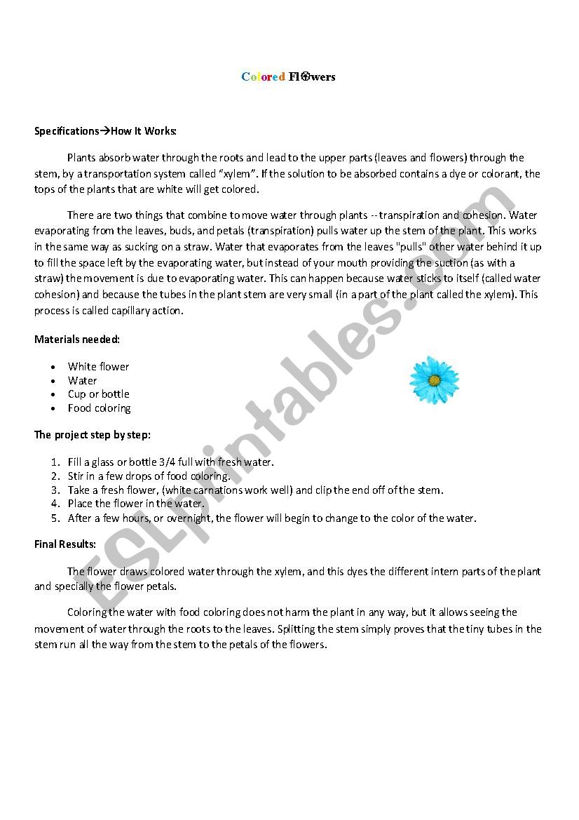 science project worksheet