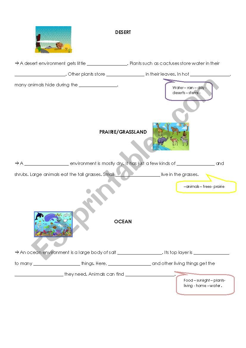 desert - prairie/grassland - ocean