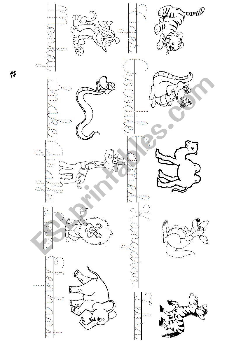 zoo animals  worksheet