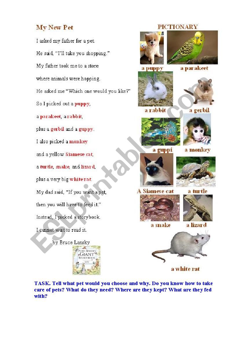 A PET (a poem + a pictionary) worksheet