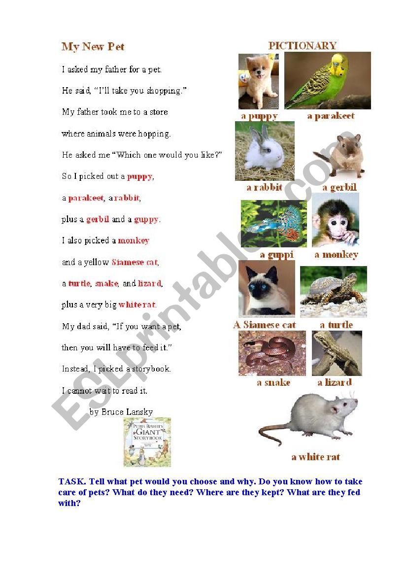 A PET (a poem + a pictionary) worksheet