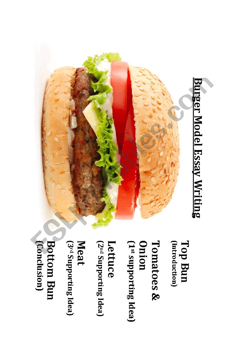 5 Step Burger Model Essay Writting