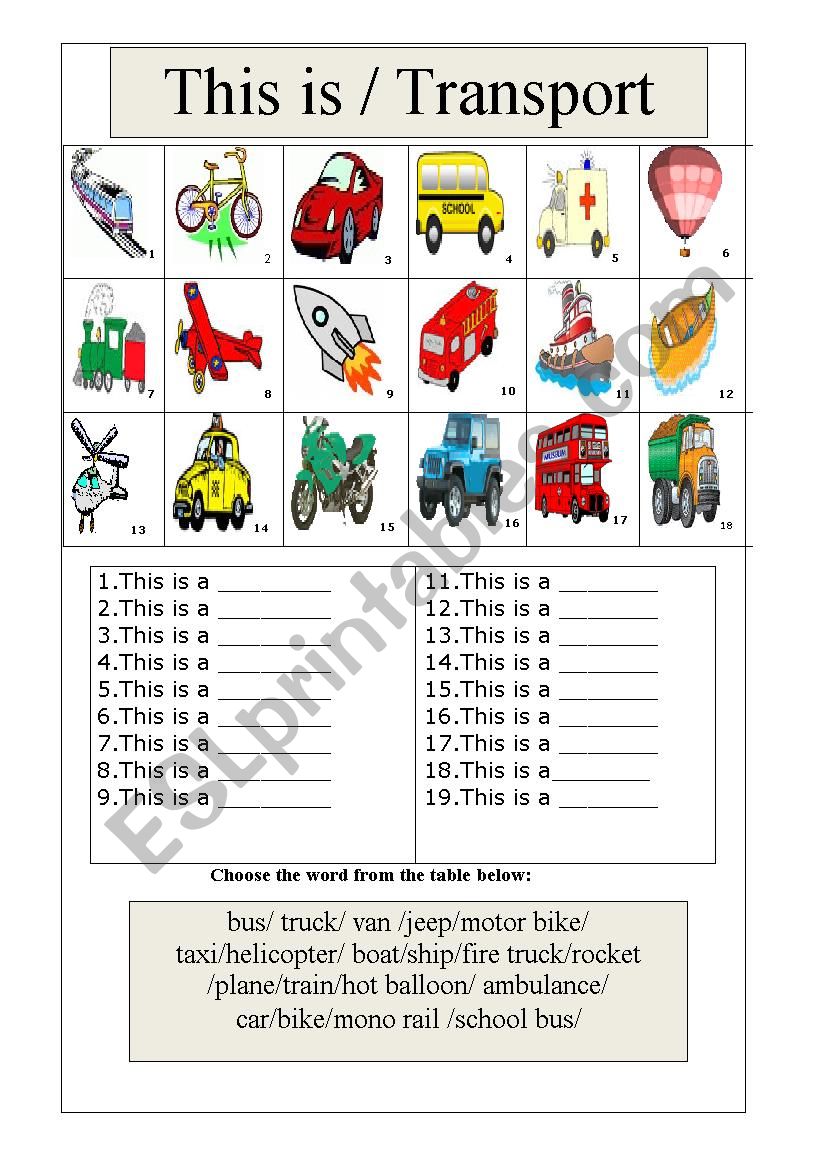 Transport / This  worksheet