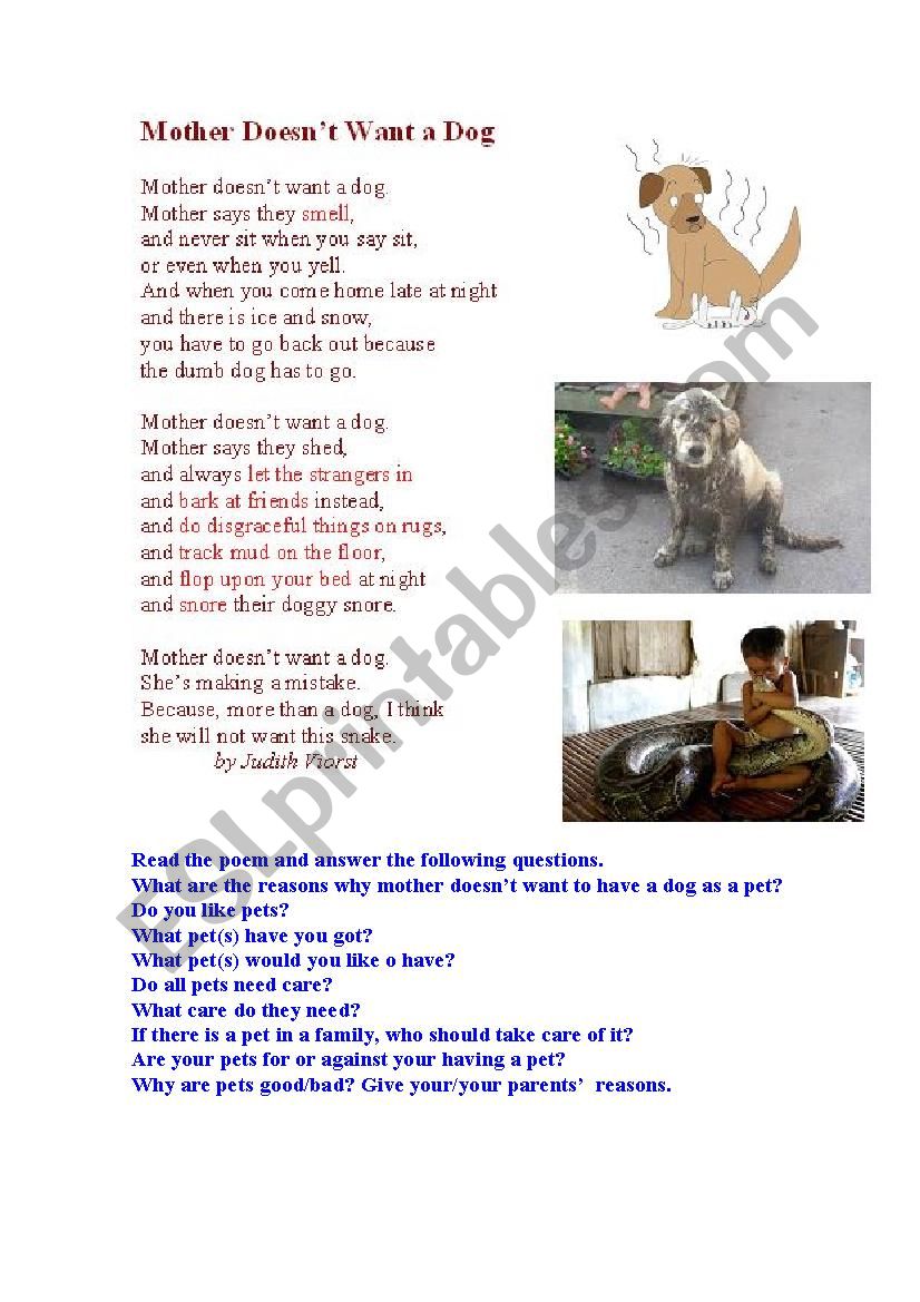 A PET (a poem + questions for discussion)