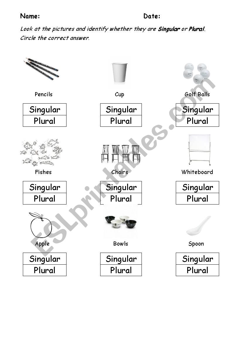 Singular/Plural worksheet worksheet