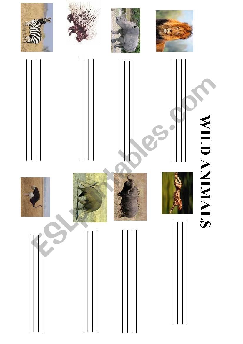 Savannah animals worksheet