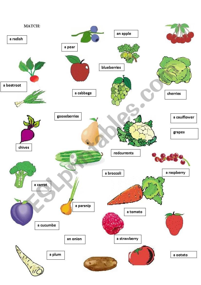 Fruit and vegetables. worksheet