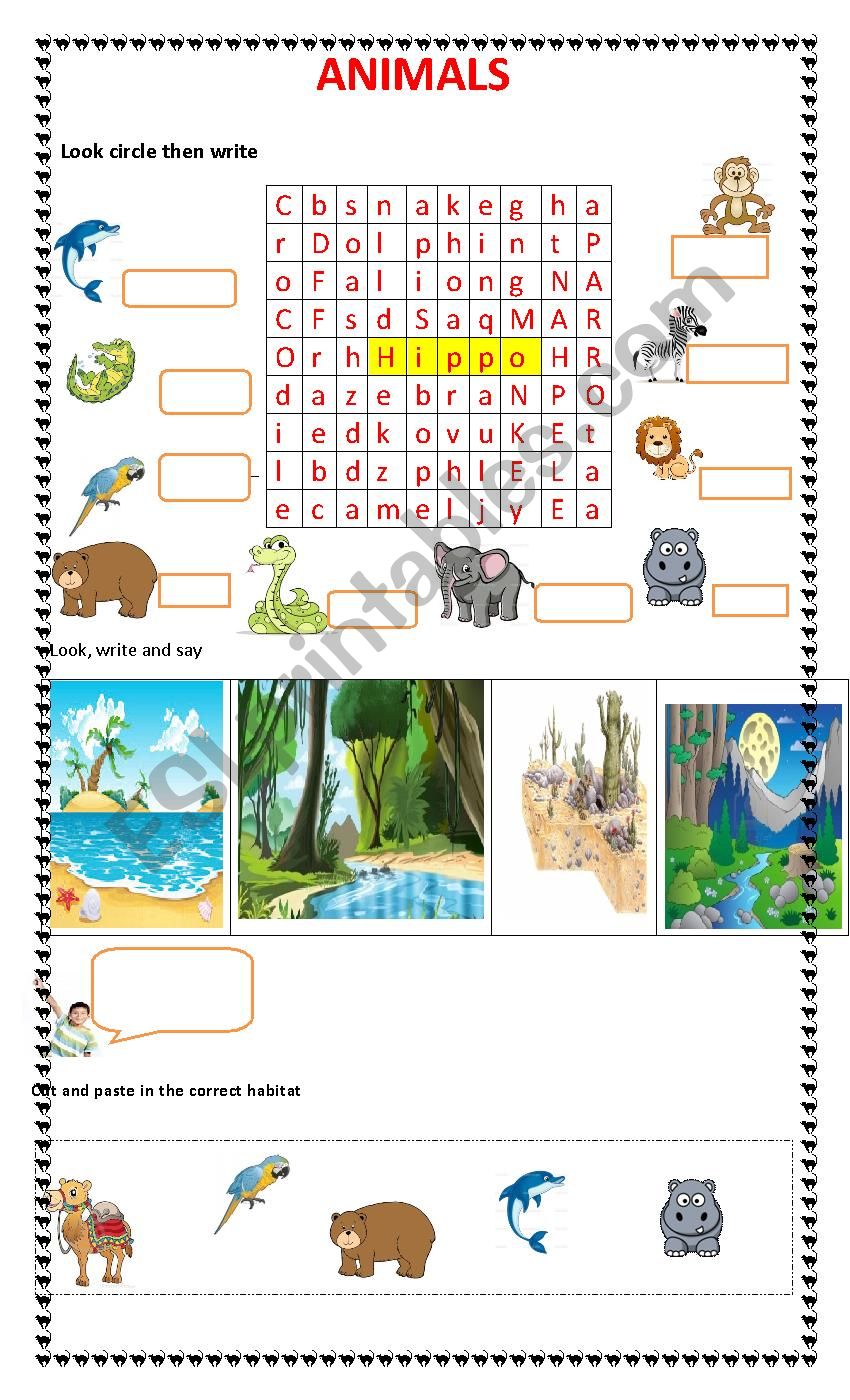 animals and their habitat worksheet