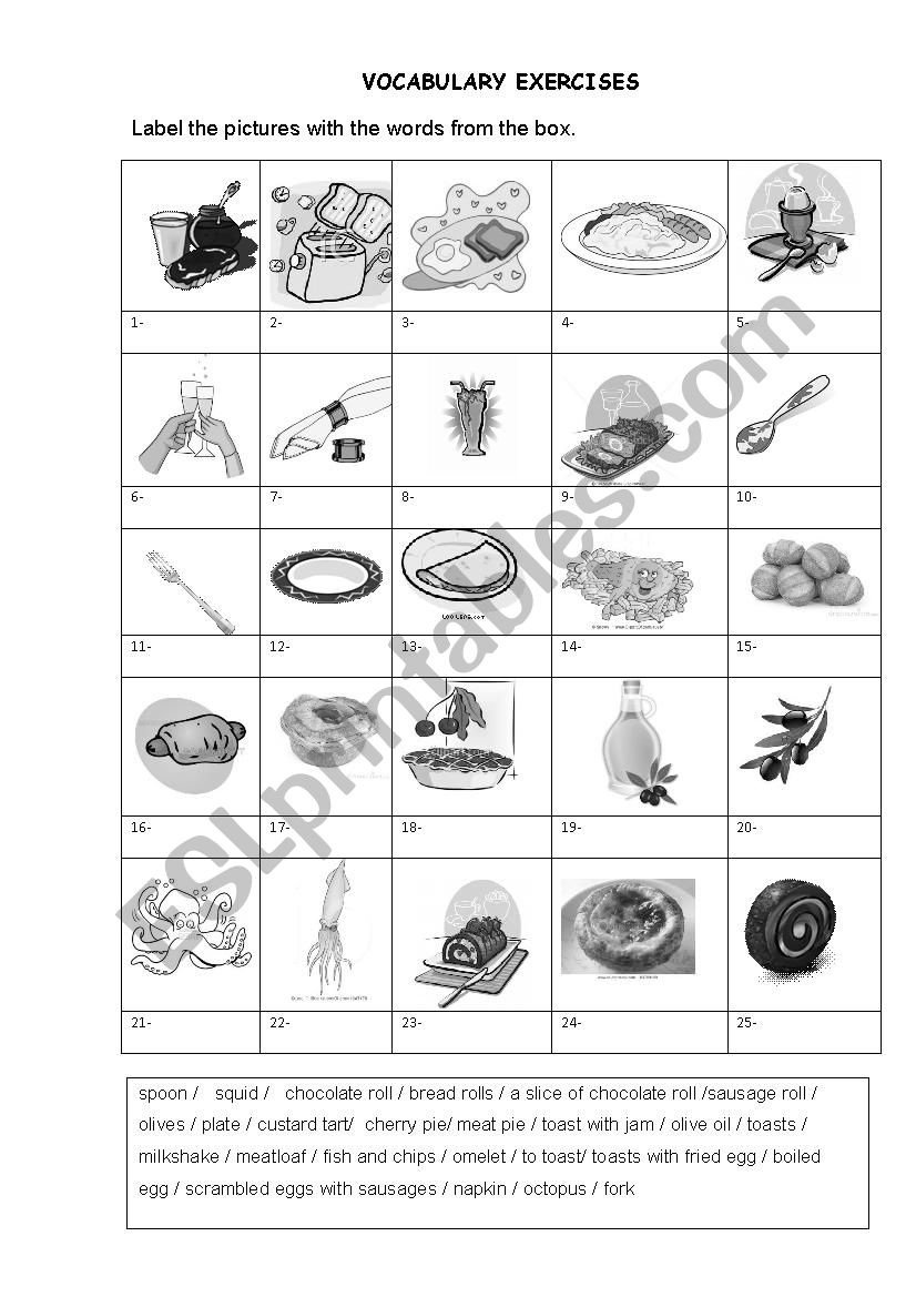 Vocabulary exercise worksheet