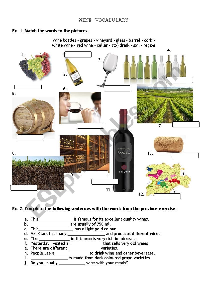 Vocabulary and Reading Comprehension about wine 