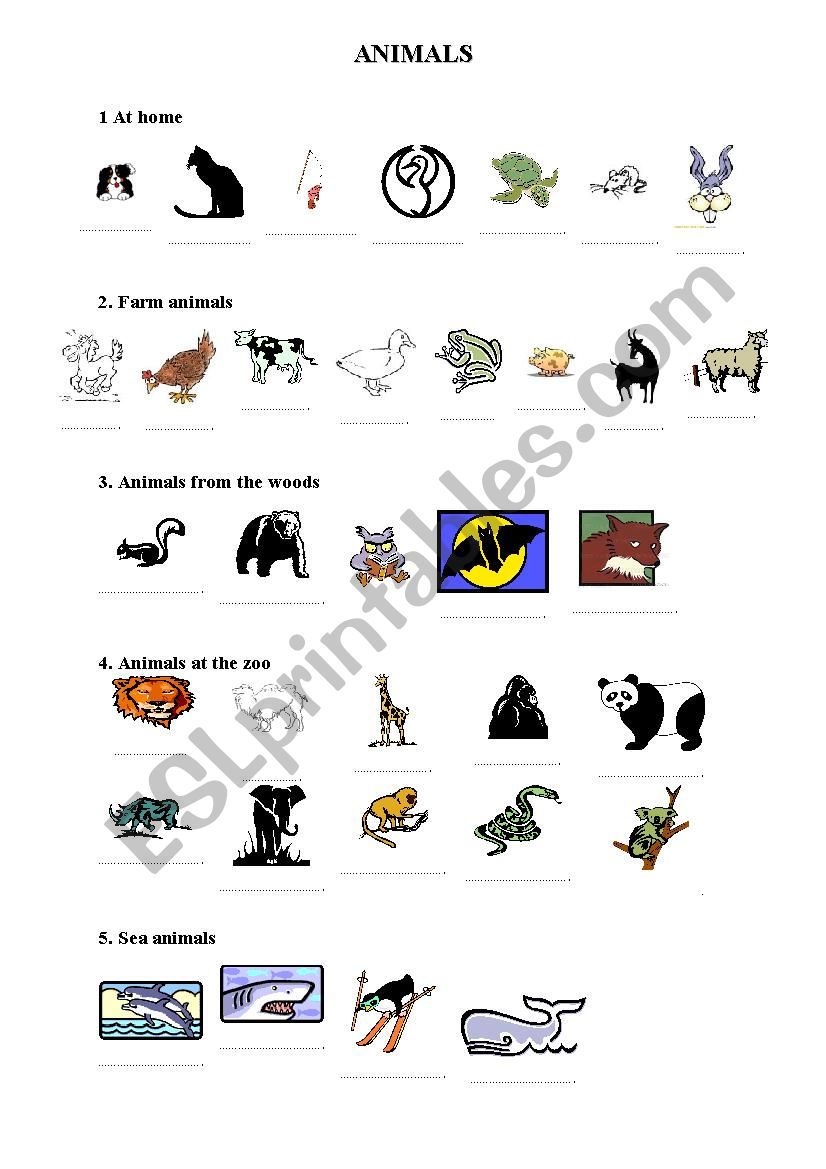 Animals worksheet