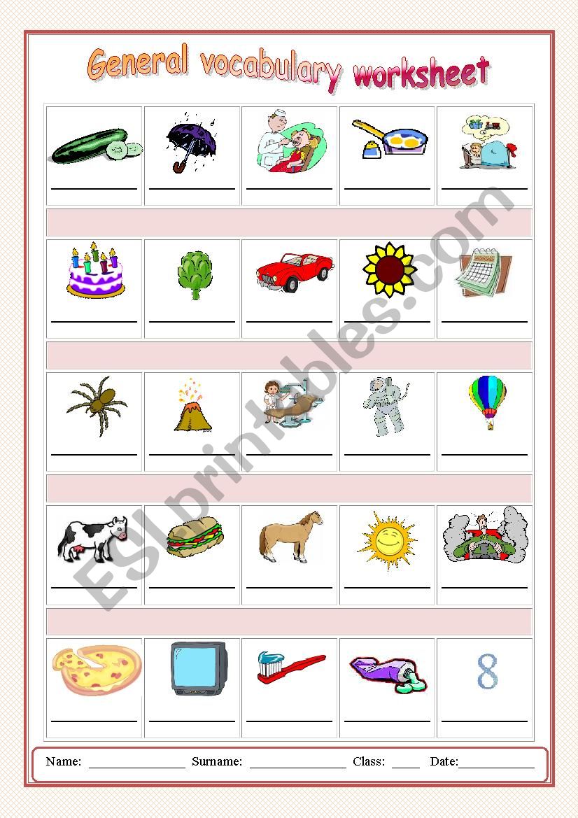 General vocabulary worksheet worksheet