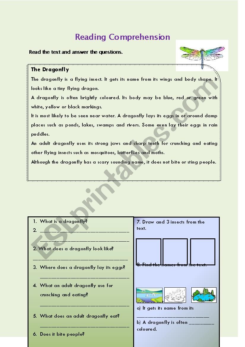 Reading Comprehesion worksheet