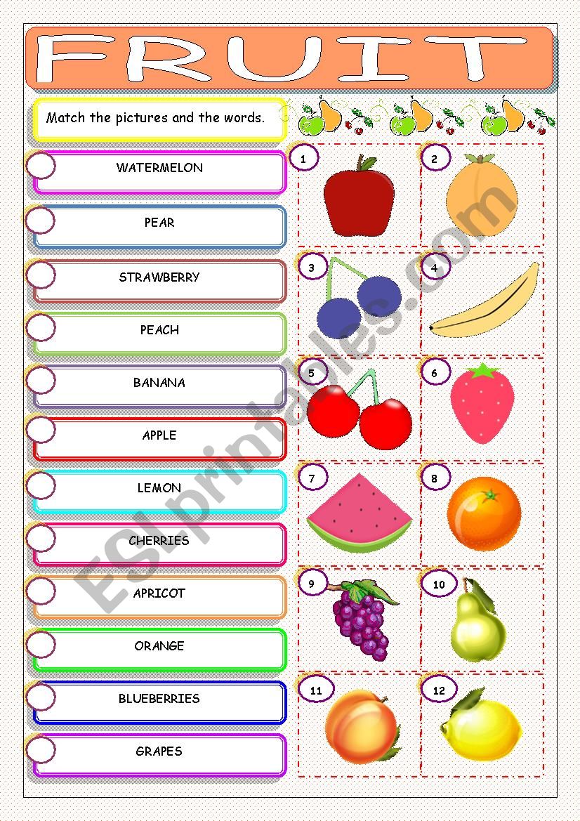 Fruit worksheet
