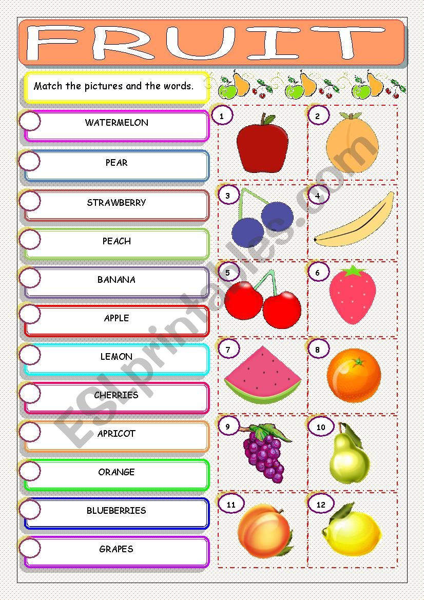 Fruit worksheet