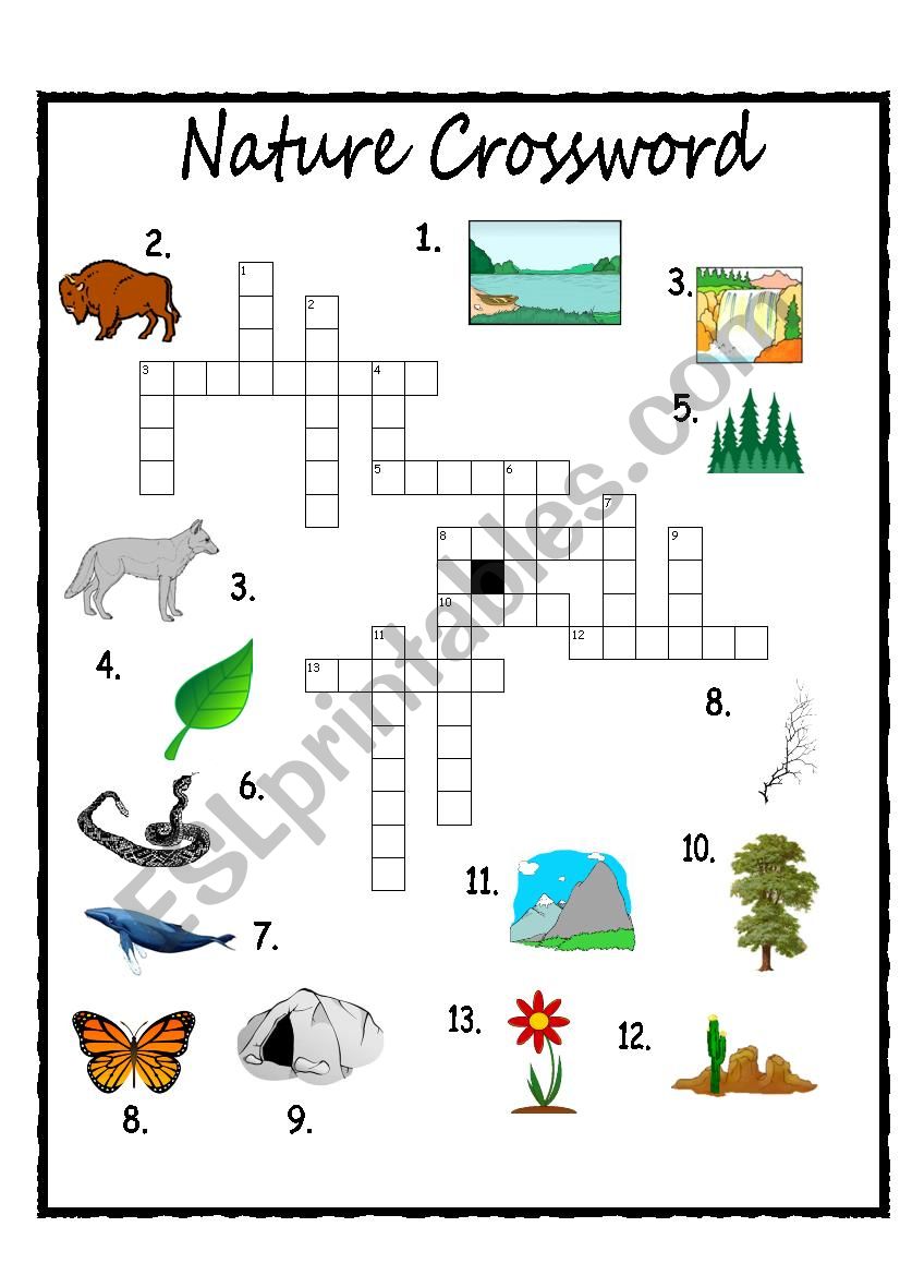 Nature Crossword worksheet