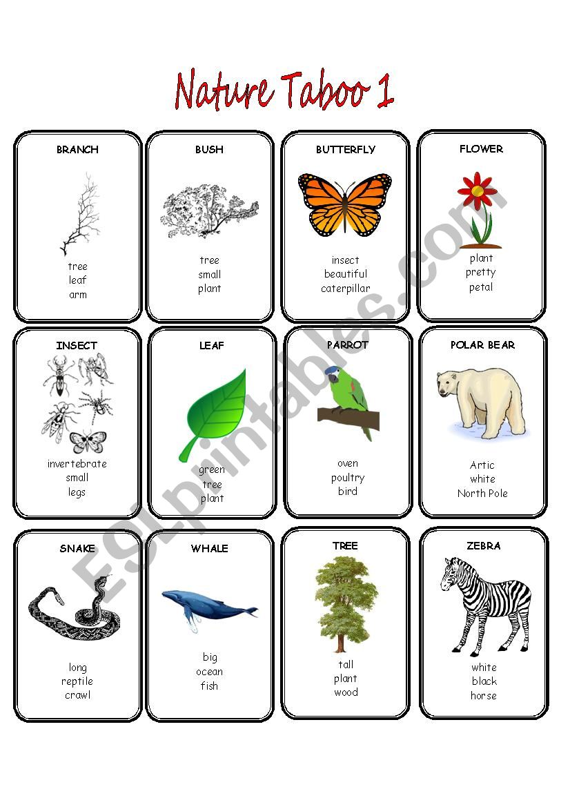 Nature Taboo 1/2 worksheet