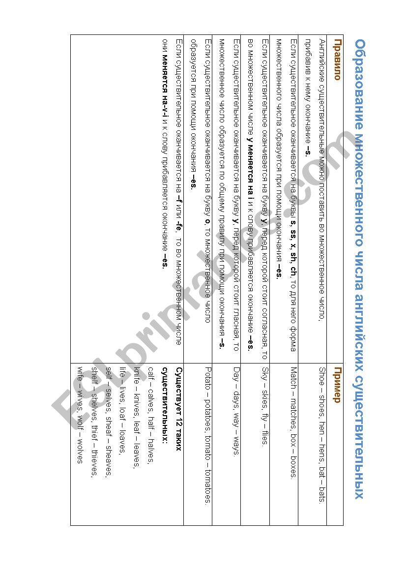 Plural numbers of nouns worksheet